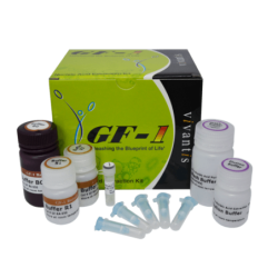Набор для выделения ДНК бактерий GF-1, 50 определений