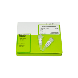 Вектор для клонирования ПЦР pTG19-T, 200 опред