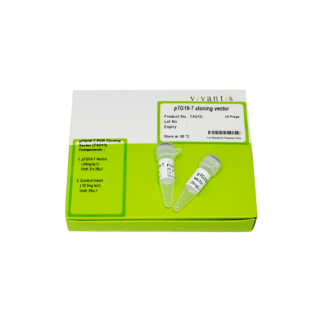 Вектор для клонирования ПЦР pTG19-T, 200 опред