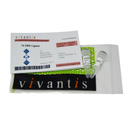 T4 ДНК Лигаза, 4000 единиц