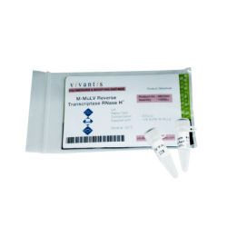 Обратная транскриптаза РНКазы H(минус) M-MuLV 10000 ед