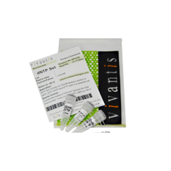 Набор dNTP 100 mM раствор, 4х0.25 мл