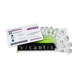 2x Taq Master Mix (Мастер Микс) 100 реакций