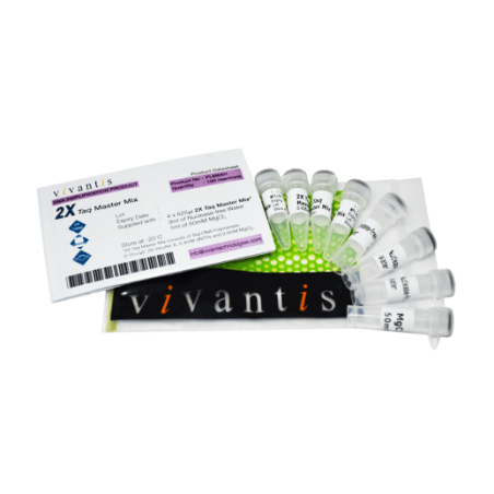 2x Taq Master Mix (Мастер Микс) 100 реакций