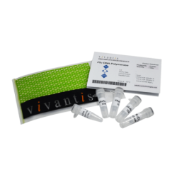 Pfu ДНК Полимераза (5е.а./мкл), 100 единиц