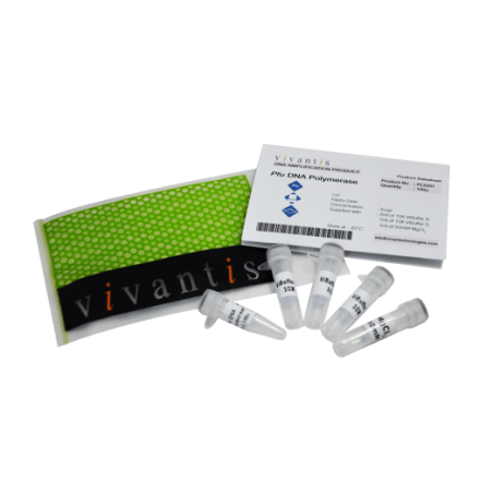 Pfu ДНК Полимераза (5е.а./мкл), 100 единиц