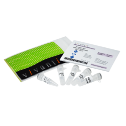 AtMax Taq ДНК Полимераза (Long & Hotstart - 2.5е.а./мкл), 200 единиц