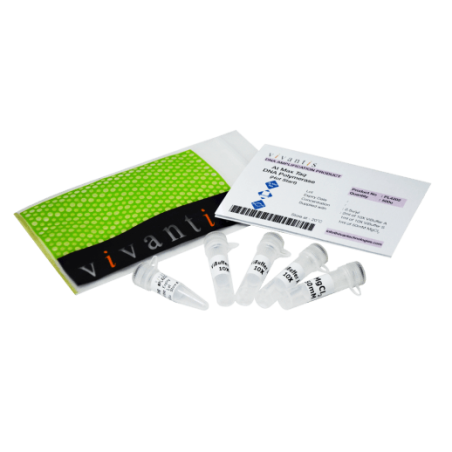 AtMax Taq ДНК Полимераза (Long & Hotstart - 2.5е.а./мкл), 200 единиц