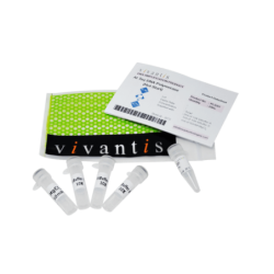 At Taq ДНК полимераза (Hotstart - 5 е.а./мкл), 200 единиц