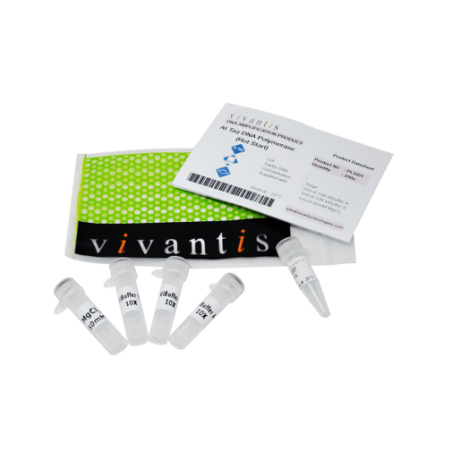 At Taq ДНК полимераза (Hotstart - 5 е.а./мкл), 200 единиц