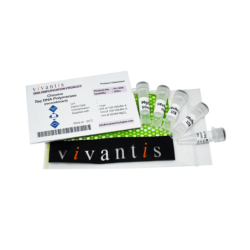 MaxTaq ДНК Полимераза (Long PCR - 5е.а./мкл), 200 единиц