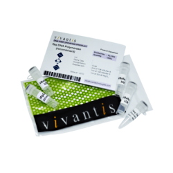 Taq полимераза (5 е.а./мкл), 500 единиц