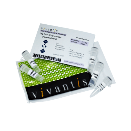 Taq полимераза (5 е.а./мкл), 500 единиц