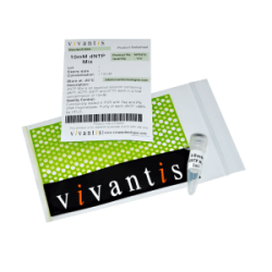 Эндонуклеаза рестрикции DraI (AhaIII), 600 единиц