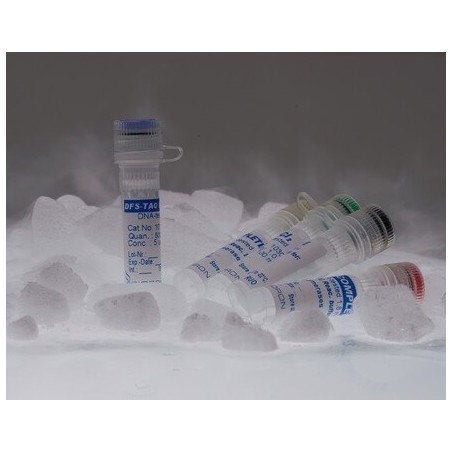 T4 ДНК Лигаза, 2000 ед. Образец