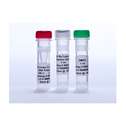 ДНК полимераза Pfu Turbo Cx Hotstart DNA Polymerase, 500U