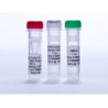ДНК полимераза Pfu Turbo Cx Hotstart DNA Polymerase, 500U