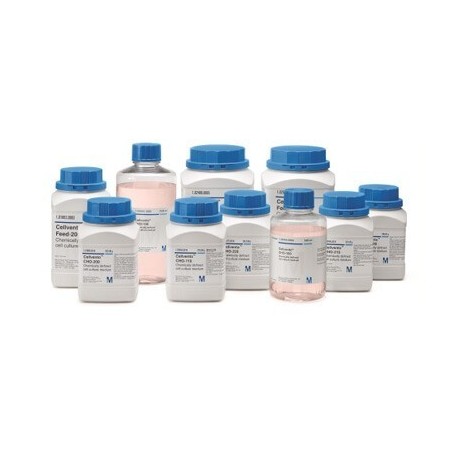 Протеиназа К (BIOCHEMISTRY) 100 мг