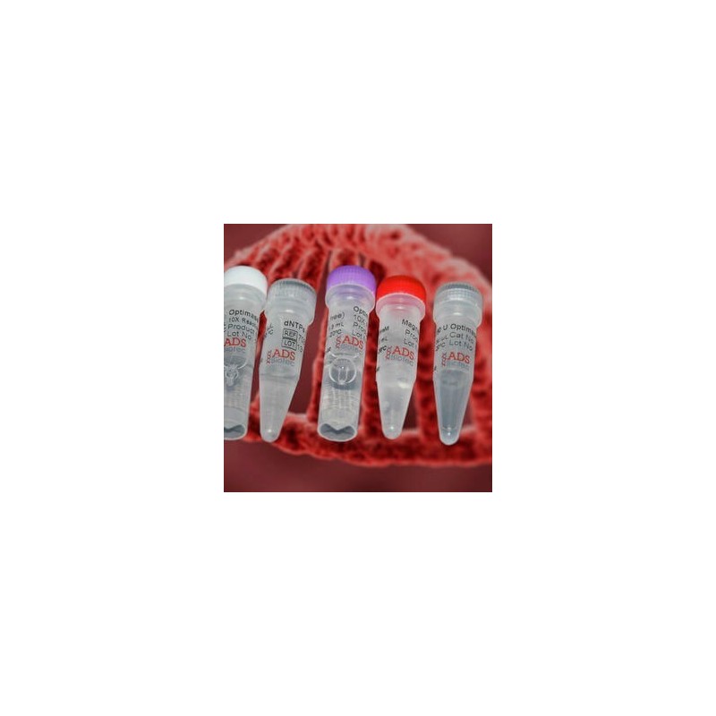 10х Taq буфер pH-8.6, 25mM MgCl2 10мл