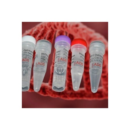 10х Taq буфер pH-8.6, 25mM MgCl2 10мл