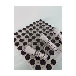 Протеиназа К раствор (20мг/мл), 5х1мл