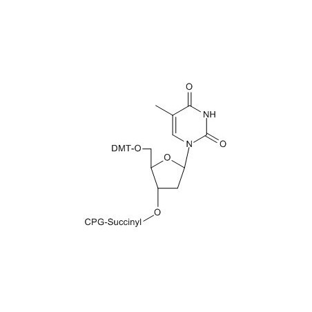 5'-DMTr-dT CPG колонка, 1000A , 50 nmol 100 колонок