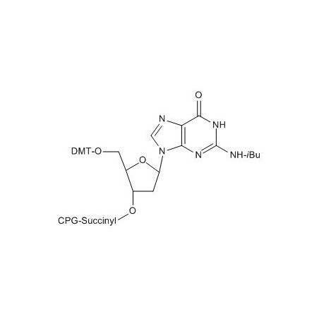 5'-DMTr-dG (N-ibu) CPG колонка, 1000A , 50 nmol 100 колонок