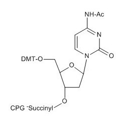 5'-DMTr-dC (N-A c) CPG колонка, 1000A , 50 nmol 100 колонок