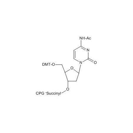 5'-DMTr-dC (N-A c) CPG колонка, 1000A , 50 nmol 100 колонок
