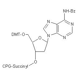 5'-DMTr-dA (N-Bz) CPG колонка, 1000A , 50 nmol 100 колонок