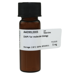 DAPI (Диамино-4'',6--2-фенилиндол/4',6-diamidine-2-phenylindole dihydrochloride)