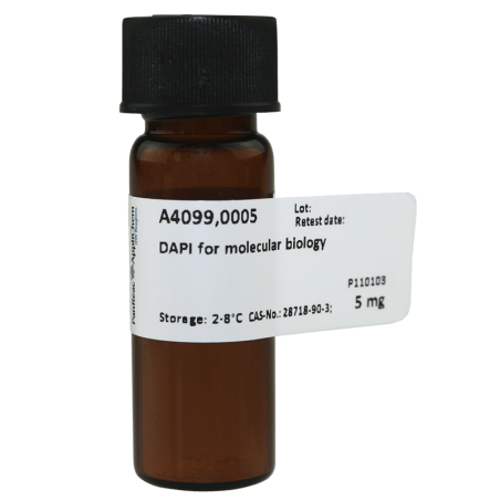DAPI (Диамино-4'',6--2-фенилиндол/4',6-diamidine-2-phenylindole dihydrochloride)