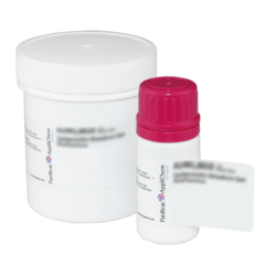 Карбенициллина динатриевая соль (BioChemica), 1гр