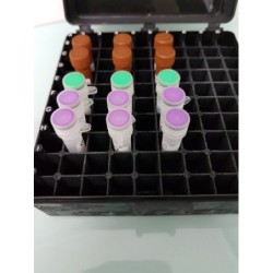 Рибонуклеаза А (РНКаза А), 50мг/Molecular Biology Grade