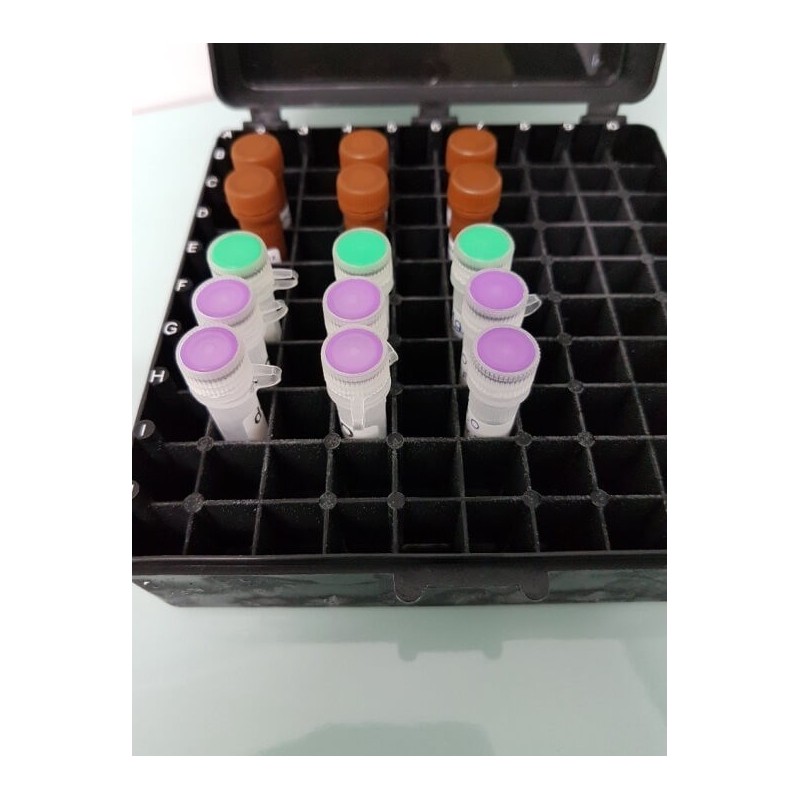 Рибонуклеаза А (РНКаза А), 50мг/Molecular Biology Grade