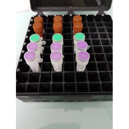 Рибонуклеаза А (РНКаза А), 50мг/Molecular Biology Grade