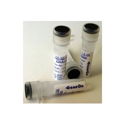 ДНК маркер 100bp+1,5kb 50мкг, без красителя