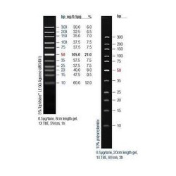 ДНК маркер 10bp  50мкг, с отдельным красителем
