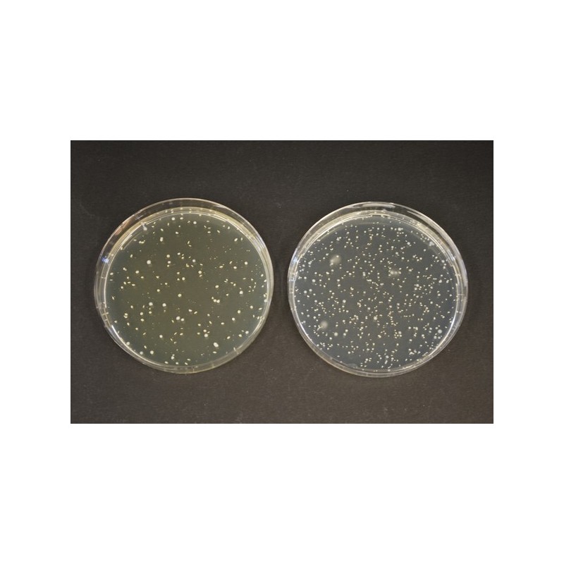 Основа TOS-пропионатного агара