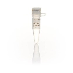 Смесь  dNTP, 25 мM раствор