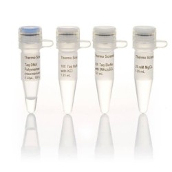 Taq ДНК полимераза (Taq DNA Polymerase)