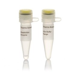 Эндонуклеаза рестрикции Eco 881 (Aval)