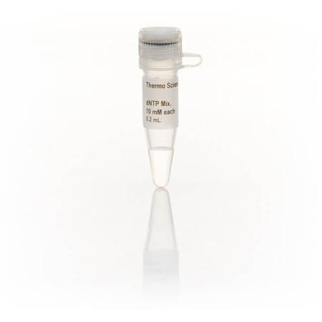 Смесь dNTP