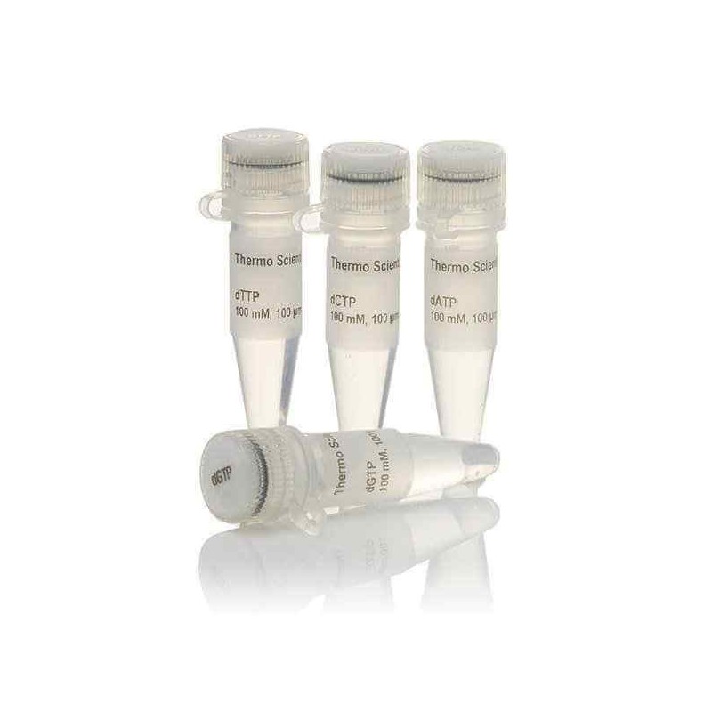 dNTP Set, 100mM