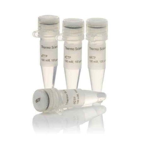 dNTP Set, 100mM