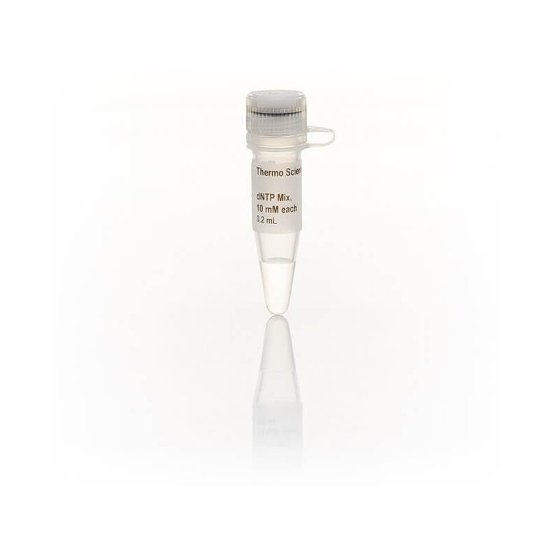 dNTP Mix