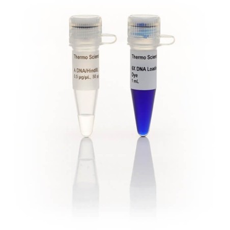 Лямбда  ДНК маркер