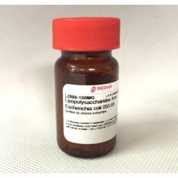 Амилоглюкозидаза