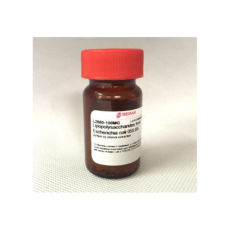 Амилоглюкозидаза