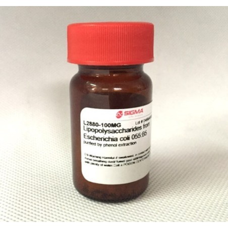 Амилоглюкозидаза